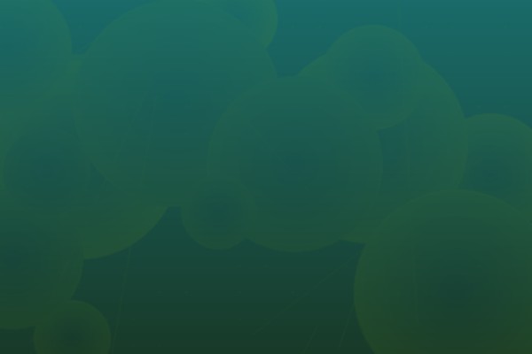 Global delivery network